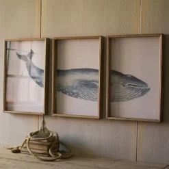 Triptych Whale Framed Art Prints, Set Of 3-Kirkland's Home Hot