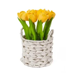 Tulip Arrangement In Basket-Kirkland's Home Hot