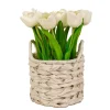Tulip Arrangement In Basket-Kirkland's Home Flash Sale