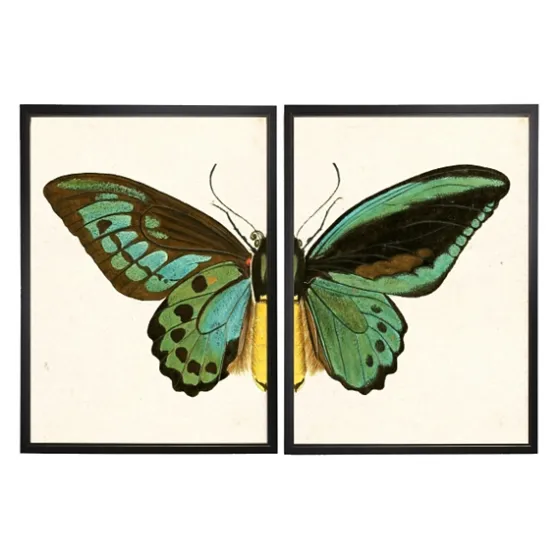 Turquoise Butterfly Framed Art Prints, Set Of 2-Kirkland's Home Flash Sale