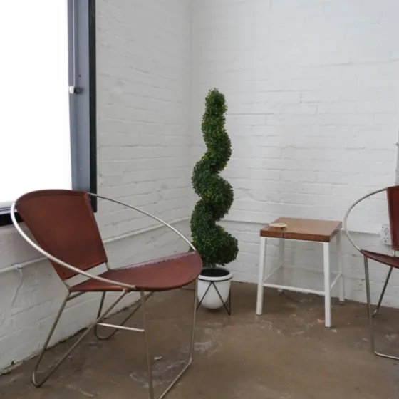 Twisted Boxwood Topiary In White Pot-Kirkland's Home Discount