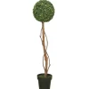 Twisted Trunk Boxwood Ball Topiary-Kirkland's Home New