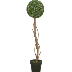Twisted Trunk Boxwood Ball Topiary-Kirkland's Home New