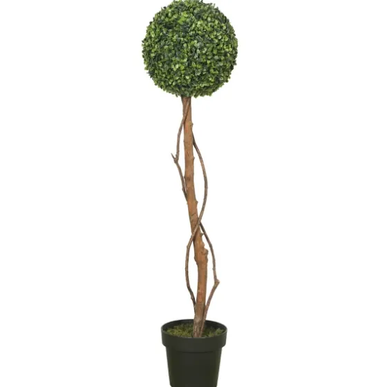Twisted Trunk Boxwood Ball Topiary-Kirkland's Home New