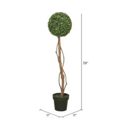 Twisted Trunk Boxwood Ball Topiary-Kirkland's Home New