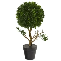 Uv-Safe Boxwood Topiary In Nursery Planter-Kirkland's Home New