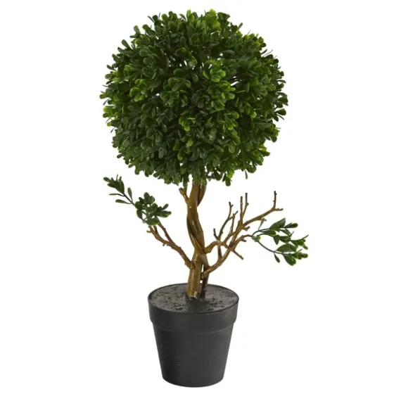 Uv-Safe Boxwood Topiary In Nursery Planter-Kirkland's Home New