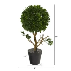 Uv-Safe Boxwood Topiary In Nursery Planter-Kirkland's Home New
