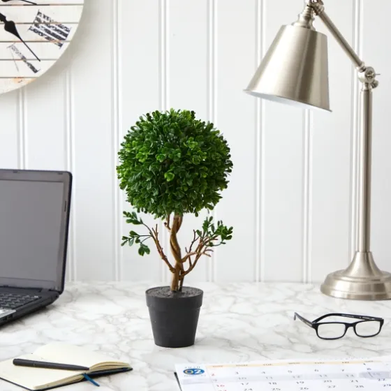 Uv-Safe Boxwood Topiary In Nursery Planter-Kirkland's Home New