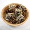 Vanilla Spice Pine Cone Potpourri-Kirkland's Home Discount