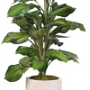 Variegated Hosta Plant In Textured Planter-Kirkland's Home Discount