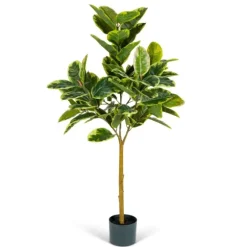 Variegated Rubber Tree In Black Pot, 4 Ft.-Kirkland's Home Shop
