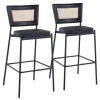 Vegan Leather And Rattan Bar Stools, Set Of 2-Kirkland's Home Outlet