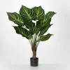 Veined Zebra Palm Potted Plant-Kirkland's Home Outlet