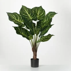 Veined Zebra Palm Potted Plant-Kirkland's Home Outlet
