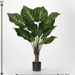 Veined Zebra Palm Potted Plant-Kirkland's Home Outlet