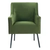Velvet Upholstered Black Legs Accent Chair-Kirkland's Home Online