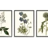 Vintage Blue Flowers Framed Art Prints, Set Of 3-Kirkland's Home Shop