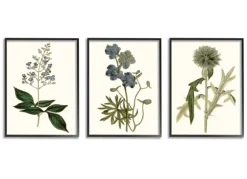 Vintage Blue Flowers Framed Art Prints, Set Of 3-Kirkland's Home Shop