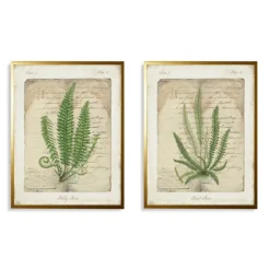 Vintage Green Ferns Framed Art Prints, Set Of 2-Kirkland's Home Outlet
