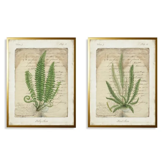 Vintage Green Ferns Framed Art Prints, Set Of 2-Kirkland's Home Outlet