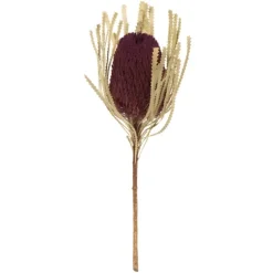 Violet Dried Jumbo Banksia Stems, Set Of 3-Kirkland's Home Best Sale