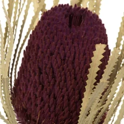 Violet Dried Jumbo Banksia Stems, Set Of 3-Kirkland's Home Best Sale
