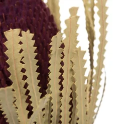 Violet Dried Jumbo Banksia Stems, Set Of 3-Kirkland's Home Best Sale