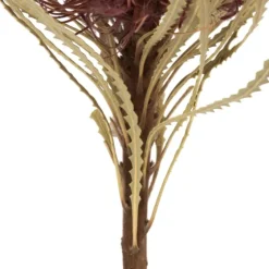 Violet Dried Jumbo Banksia Stems, Set Of 3-Kirkland's Home Best Sale