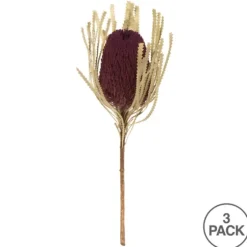 Violet Dried Jumbo Banksia Stems, Set Of 3-Kirkland's Home Best Sale