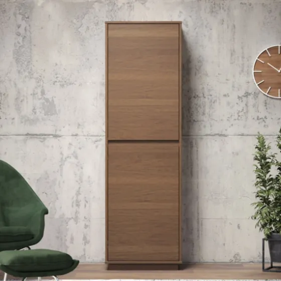 Walnut Wood 2-Door Modern Bookshelf-Kirkland's Home Discount