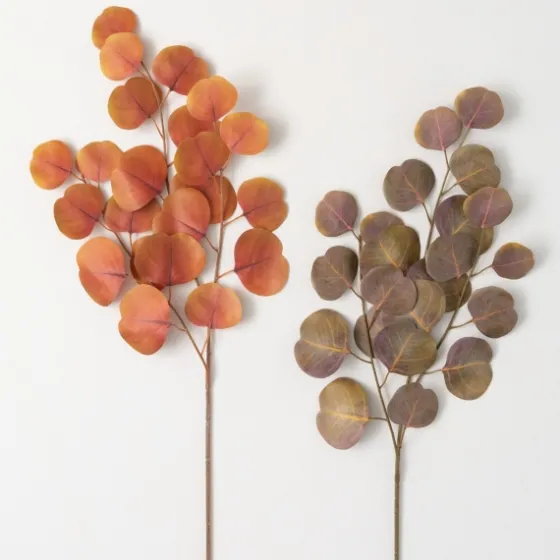 Warm Silver Dollar Eucalyptus Stems, Set Of 2-Kirkland's Home New