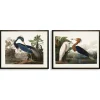 Water Birds Framed Art Prints, Set Of 2-Kirkland's Home Best