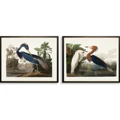 Water Birds Framed Art Prints, Set Of 2-Kirkland's Home Best