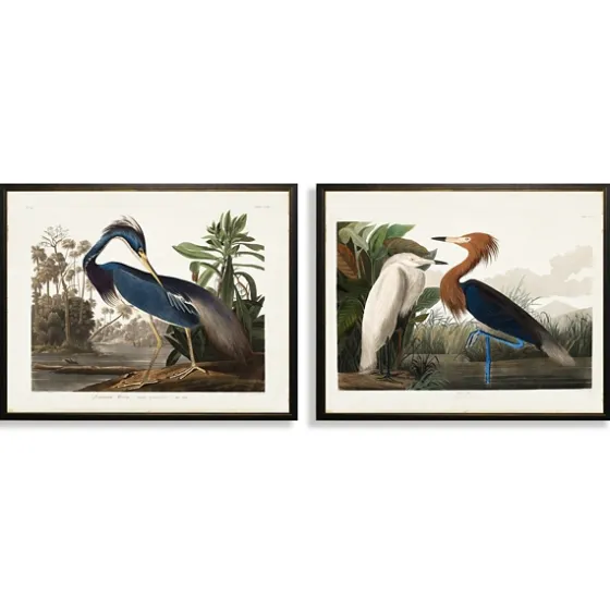 Water Birds Framed Art Prints, Set Of 2-Kirkland's Home Best