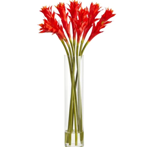 Watered Star Bromeliad Bouqet In Glass Vase-Kirkland's Home Shop