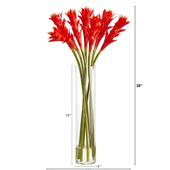 Watered Star Bromeliad Bouqet In Glass Vase-Kirkland's Home Shop