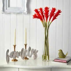 Watered Star Bromeliad Bouqet In Glass Vase-Kirkland's Home Shop