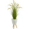 Wheat Grass In White Planter-Kirkland's Home Best Sale