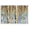 White Birch Forest Canvas Art Print, 60X40 In.-Kirkland's Home Fashion