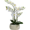White Orchid In Round Ceramic Bowl-Kirkland's Home Flash Sale