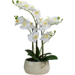 White Orchid In Round Ceramic Bowl-Kirkland's Home Flash Sale