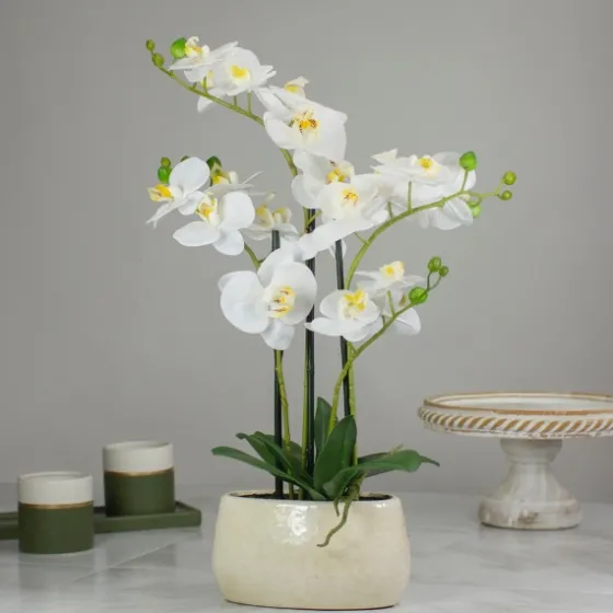 White Orchid In Round Ceramic Bowl-Kirkland's Home Flash Sale
