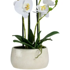 White Orchid In Round Ceramic Bowl-Kirkland's Home Flash Sale