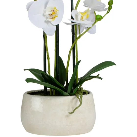 White Orchid In Round Ceramic Bowl-Kirkland's Home Flash Sale