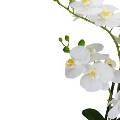 White Orchid In Round Ceramic Bowl-Kirkland's Home Flash Sale