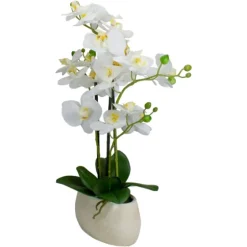 White Orchid In Round Ceramic Bowl-Kirkland's Home Flash Sale