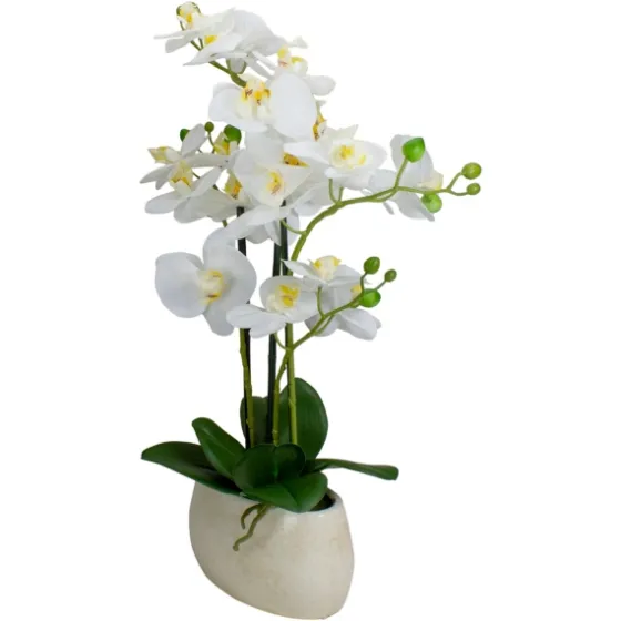 White Orchid In Round Ceramic Bowl-Kirkland's Home Flash Sale
