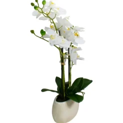 White Orchid In Round Ceramic Bowl-Kirkland's Home Flash Sale