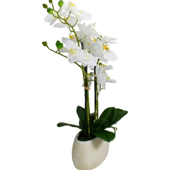 White Orchid In Round Ceramic Bowl-Kirkland's Home Flash Sale